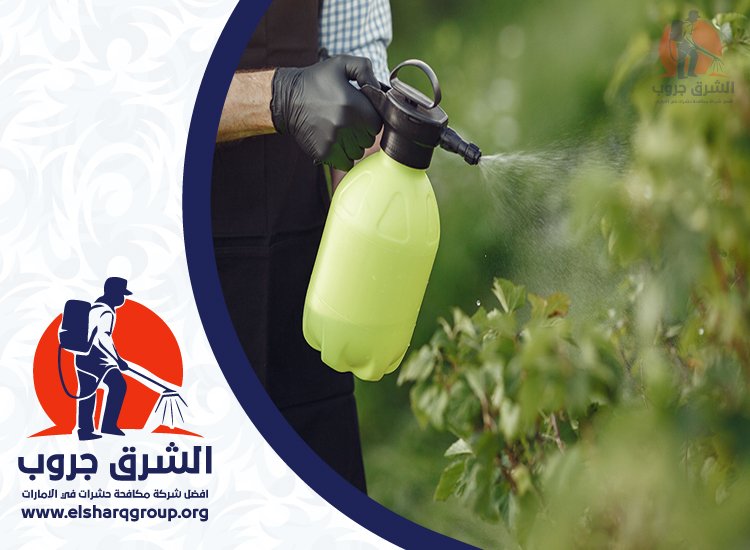 شركة مكافحة حشرات في دبي 7 هل توجد مبيدات لجميع أنواع الحشرات؟